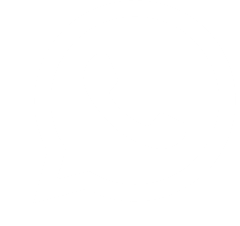 WhatsApp Icon